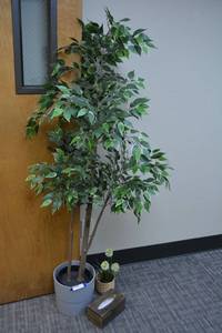 lot 160 image: Artificial plants and wooden Kleenex holder