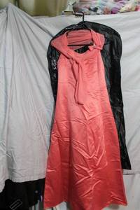 lot 288 image: Womens clothes Size 14 Semi-formal dress with silk scarf, garment bag included