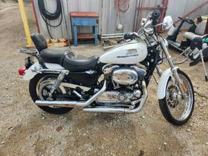lot 33 image: 2006 Harley Davidson Motorcycle 1200 cc - Vin# 1HD1CGP176K436617 - Buyer will need to apply for lost of bonded title - no key - has been wrecked