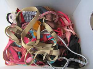 lot 154 image: clear tote of dog and cate leaches and a few pieces of clothing