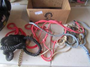 lot 161 image: HORSE TACK - Various horse ropes and leads