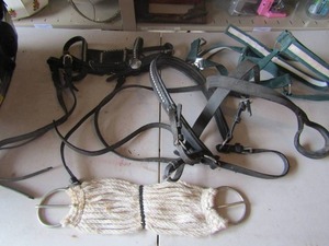 lot 24 image: HORSE TACK - horse halters, bridle, saddle cinch, horse reins