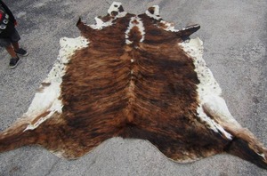 lot 1 image: FULL LENGTH COW HIDE  9ft x 71 in