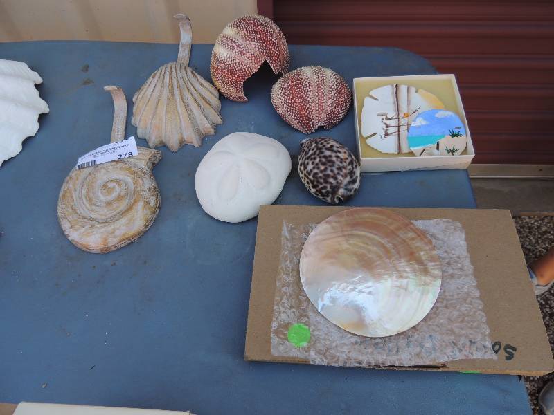 lot 278 image: Sea Urchin, Sea Biscuit, and Sand D...