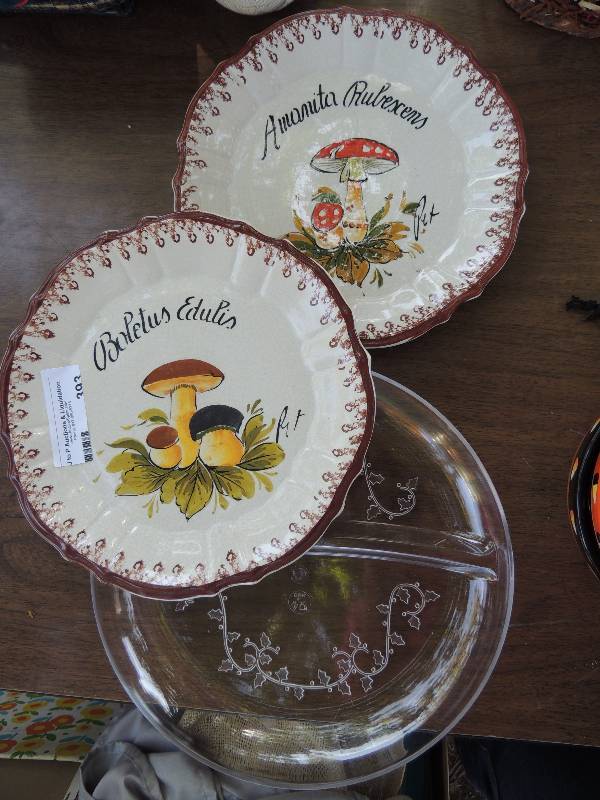 lot 393 image: Angrite Rubescdia Plates x2...