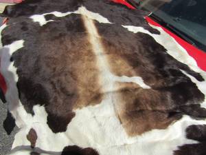 lot 46 image: Full size cow hide rug in great condition 8ft 64