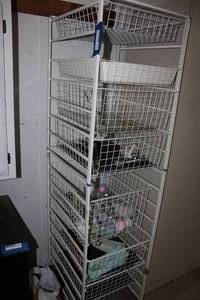 lot 260 image: Wire Rack with Drwers and Contents