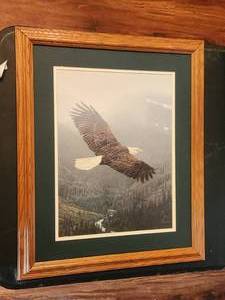 lot 25 image: Framed and matted soaring Bald Eagle