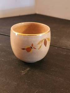 lot 215 image: Halls Superior Quality Kitchenware - Jewel Tea Autumn Leaf -cup - by Mary Dunbar