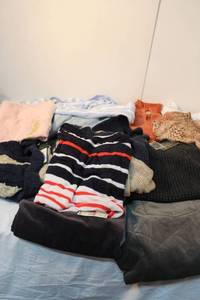 lot 40 image: Womens Clothing Pants (5 Pairs) Size Medium (810) 2 Ralph Lauren Sweaters WTag, Lands End Hooded shirt Sonoma WTag Talbots short Sleeve Blouse WTag, White Stagg Tank Top and Kohls Blouse WTag