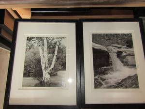 lot 110 image: Dale Strohl framed wooded art qty 2, size for both is 1713-- Door county and Sabina county is where they where taken