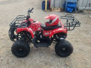 lot 1 image: Youth ATV- 4 wheeler - 2 x 4 - 125