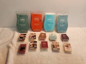 lot 218 image: Selection of Scentsy scented was bricks