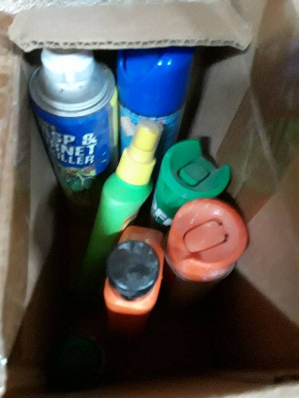 lot 157 image: wasp spray  X 2,  cans bottle ins...