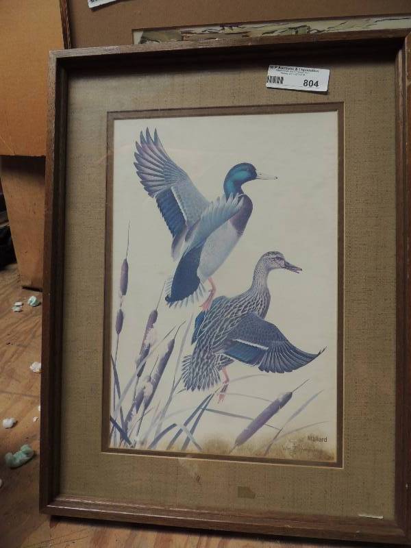 lot 804 image: Print of Mallards by Wm Zimmerman...