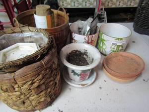 lot 205 image: Plant pot lot and various types of plant seeds new in pack