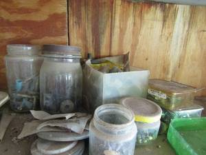 lot 624 image: Lot of screws , hooks, bolts and more