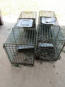 lot 713 image: 2 big live traps qty 2