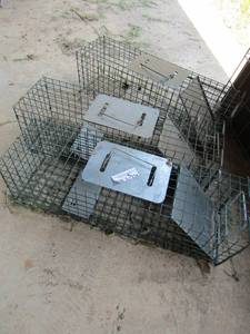 lot 714 image: 3 small live traps qty 3