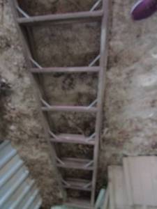 lot 865 image: 10ft step ladder
