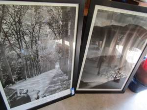 lot 490 image: 2 39x27 framed black and white photos 1 of the road to chateau chenonceaux, the other is safari with mountain