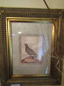 lot 314 image: 23x19 framed bird tab XXII page. 107 by Der Francolin