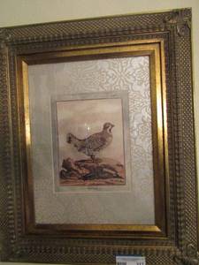 lot 317 image: 23x19 framed bird tab XVIII page. 151 by Dar Hafelhuhn