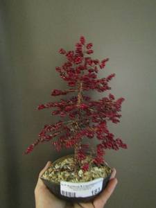 lot 183 image: home dcor beaded wire tree