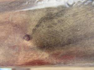 lot 183 image: Box of new brown floor wall trim