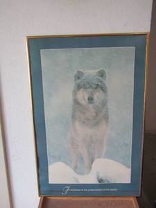 lot 238 image: wolf standing in the snow framed poster size- 3ftx2ft