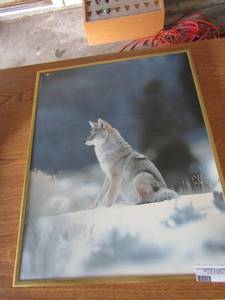 lot 259 image: 20x16 wolf sitting in snow picture