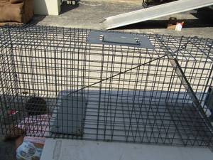 lot 32 image: Live trap like new
