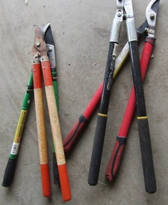 lot 140 image: Loppers  branch cutters qty 4