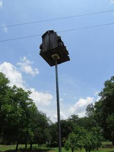 lot 873 image: wooden bird house on  LONG POLES   good condition