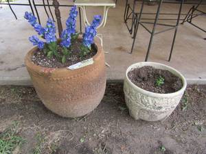 lot 877 image: 15in outdoor potter plant, 10in white potter plant