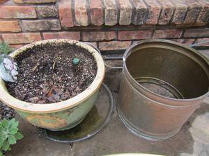 lot 912 image: bronze pot planter and a green Texas pot