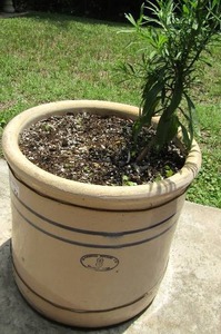 lot 916 image: 15 in tall MARSHALL POTTERY POT  has a crack