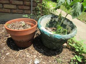lot 933 image: 2 plant potter