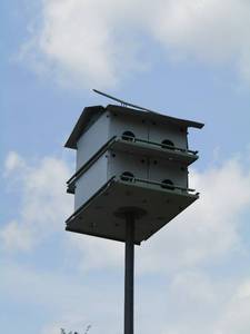 lot 1110 image: wooden bird house on very long pole