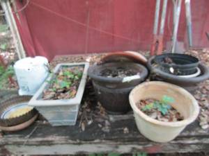 lot 941 image: large lot of planter pots