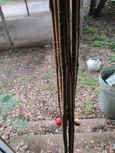 lot 1046 image: lot of fishing cane poles