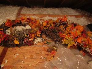 lot 1204 image: fall wreaths qty 2