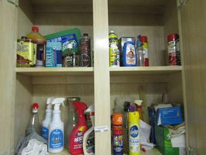 lot 1288 image: large lot of cleaning supplies