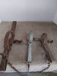 lot 202 image: Set of 3 Antique Metal Animal Traps
