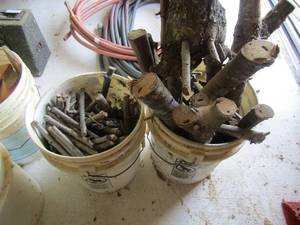 lot 178 image: 2 buckets of cut and trimmed trees