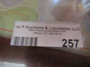 lot 257 image: 12 by 12 frame plus 10 by 13 plus mirror pieces