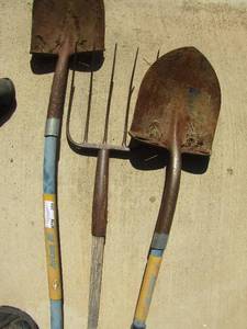 lot 289 image: yard tools shovel x2 pitchforks