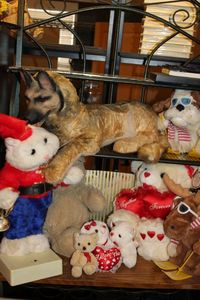 lot 128 image: Variety of Stuffed Animals