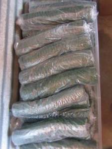 lot 120 image: New packs of green floral tape qty well over 50 packs