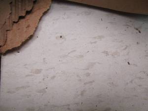lot 32 image: ARMSTRONG IMPERIAL TEXTURE COMMERCIAL TILE